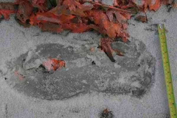 footprint01