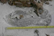 Footprint 23 Jan 2005 - 14