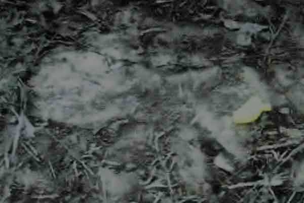 footprint07