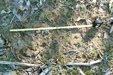 Footprint 21 Feb 2006 - 18