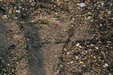 Footprint 5 Mar 2005 - 10