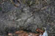 Footprint 25 Mar 2005 - 14