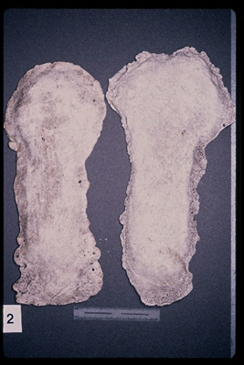 975323-R1-01-1_LoRes.jpg