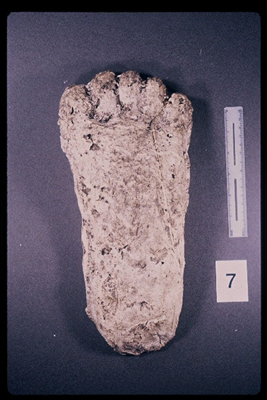 975323-R1-06-6_LoRes.JPG