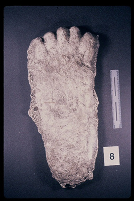 975323-R1-07-7_LoRes.JPG