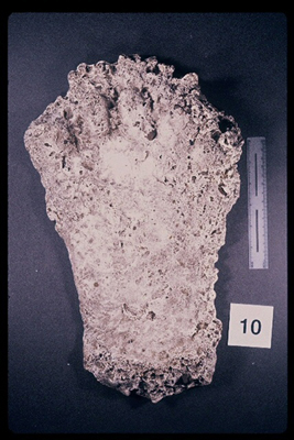 975323-R1-08-8_LoRes.JPG