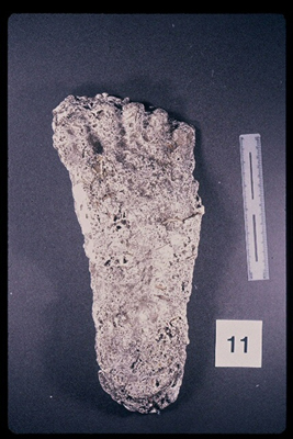 975323-R1-09-9_LoRes.JPG