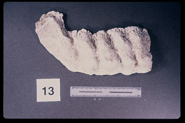 975323-R1-11-11_LoRes.JPG