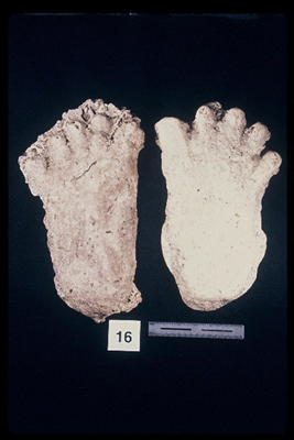 975323-R1-13-13_LoRes.JPG