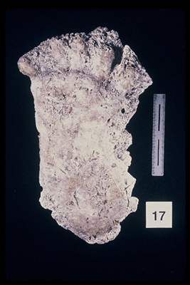 975323-R1-14-14_LoRes.JPG