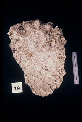 975323-R1-16-16_LoRes.JPG