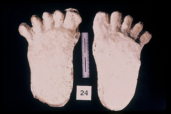 975323-R1-21-21_LoRes.JPG