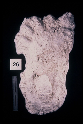 975323-R1-22-22_LoRes.JPG