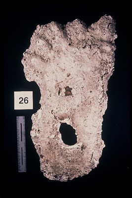 975323-R1-23-23_LoRes.JPG