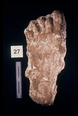 975323-R1-24-24_LoRes.JPG