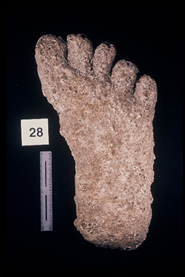 975323-R1-25-25_LoRes.JPG
