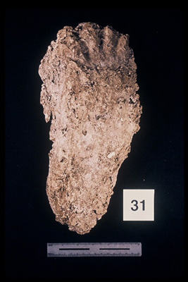 975323-R1-28-28_LoRes.JPG