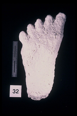 975323-R1-29-29_LoRes.JPG