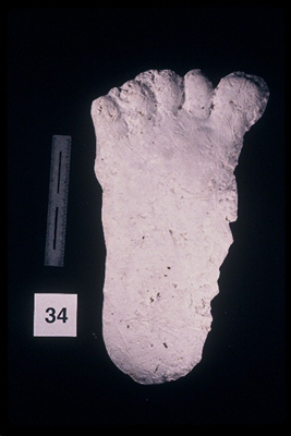 975323-R1-31-31_LoRes.JPG
