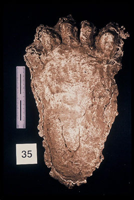 975323-R1-32-32_LoRes.JPG