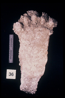975323-R1-33-33_LoRes.JPG
