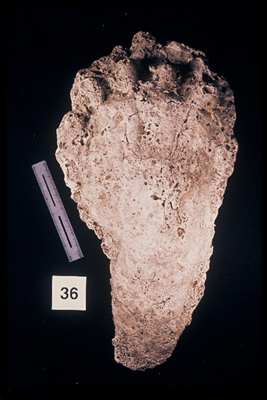 975323-R1-34-34_LoRes.JPG