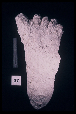 975323-R1-35-35_LoRes.JPG