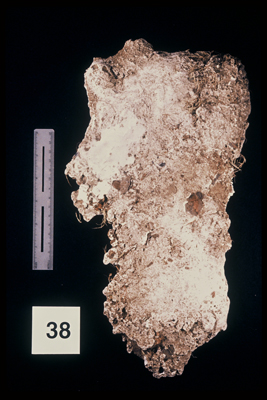 975323-R1-36-36_LoRes.JPG