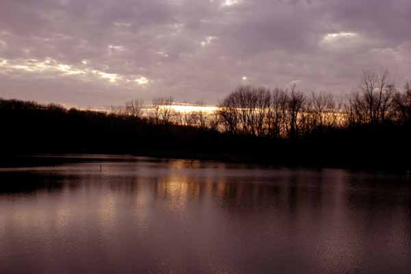 Evening in Central Illinois